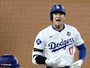 冠军球队依